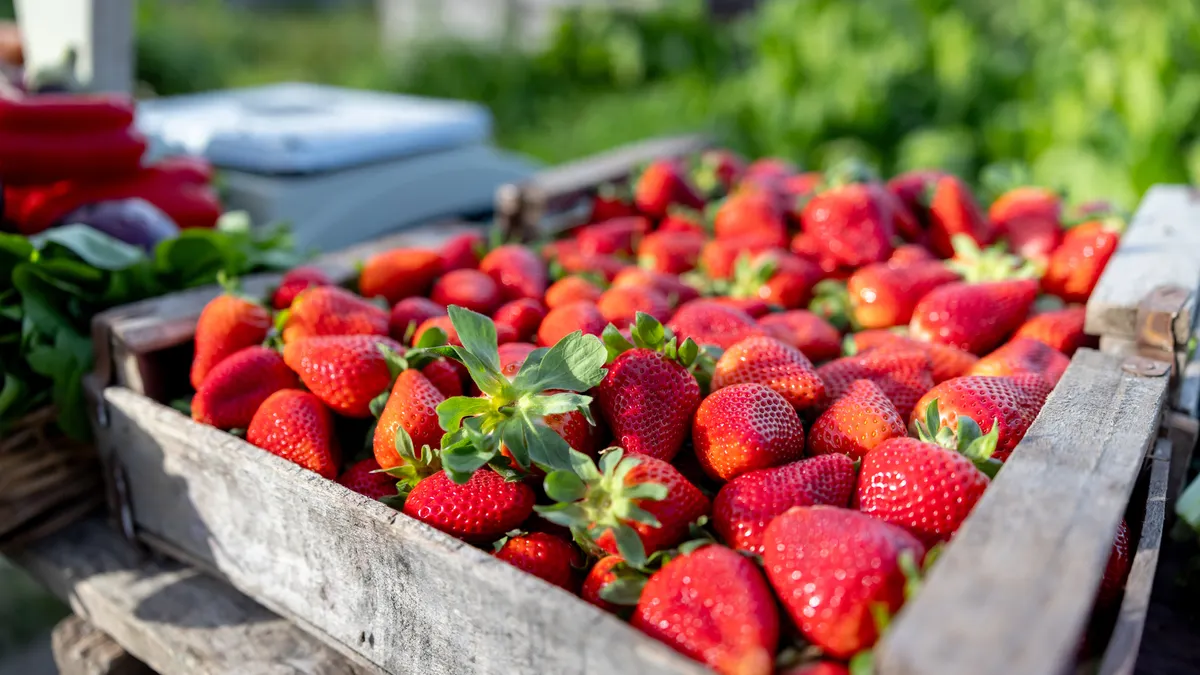 USDA 為價值1,430億美元的特色農產品出口產業提供包裝創新資金