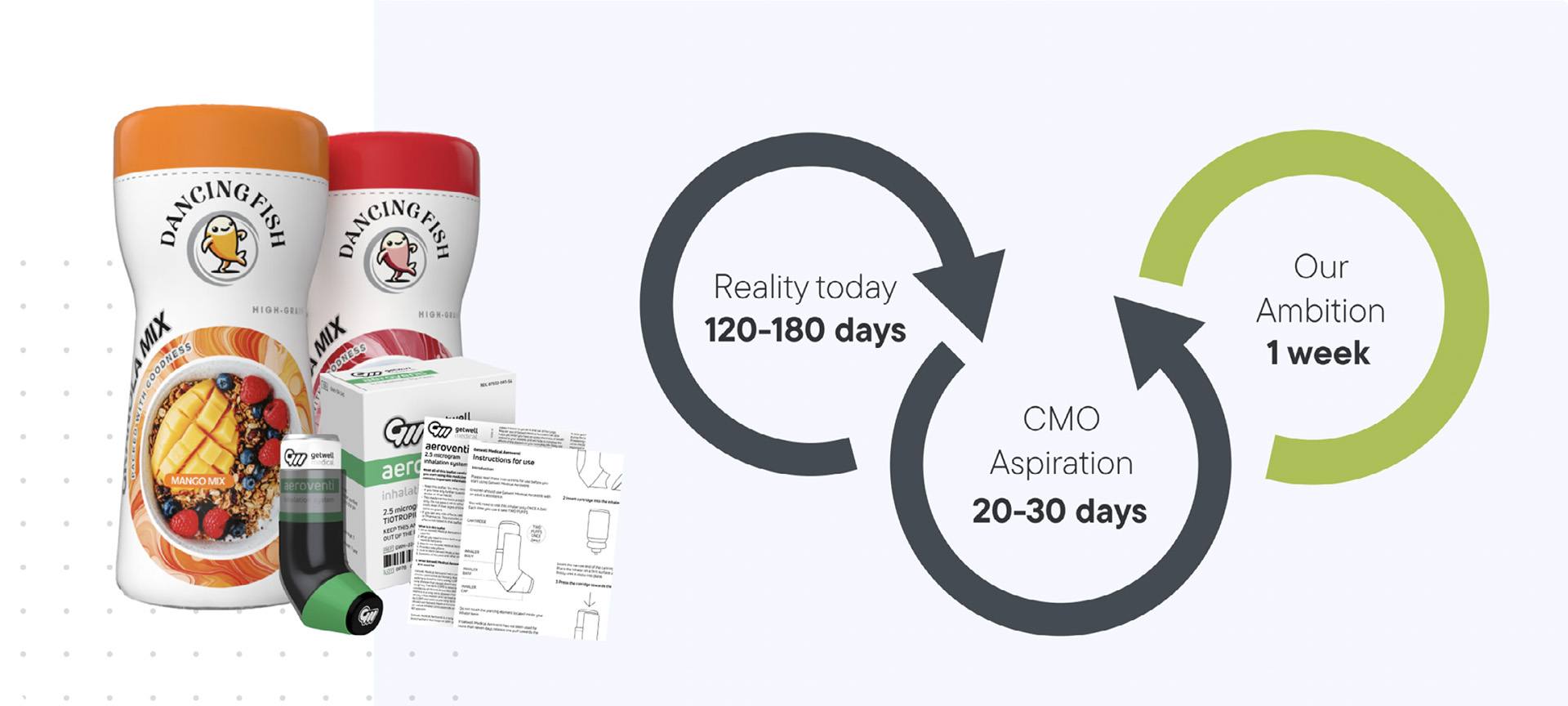 智力與整體素質