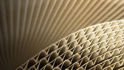 2026 年拉丁美洲紙製品市場的四大預測，你不能錯過