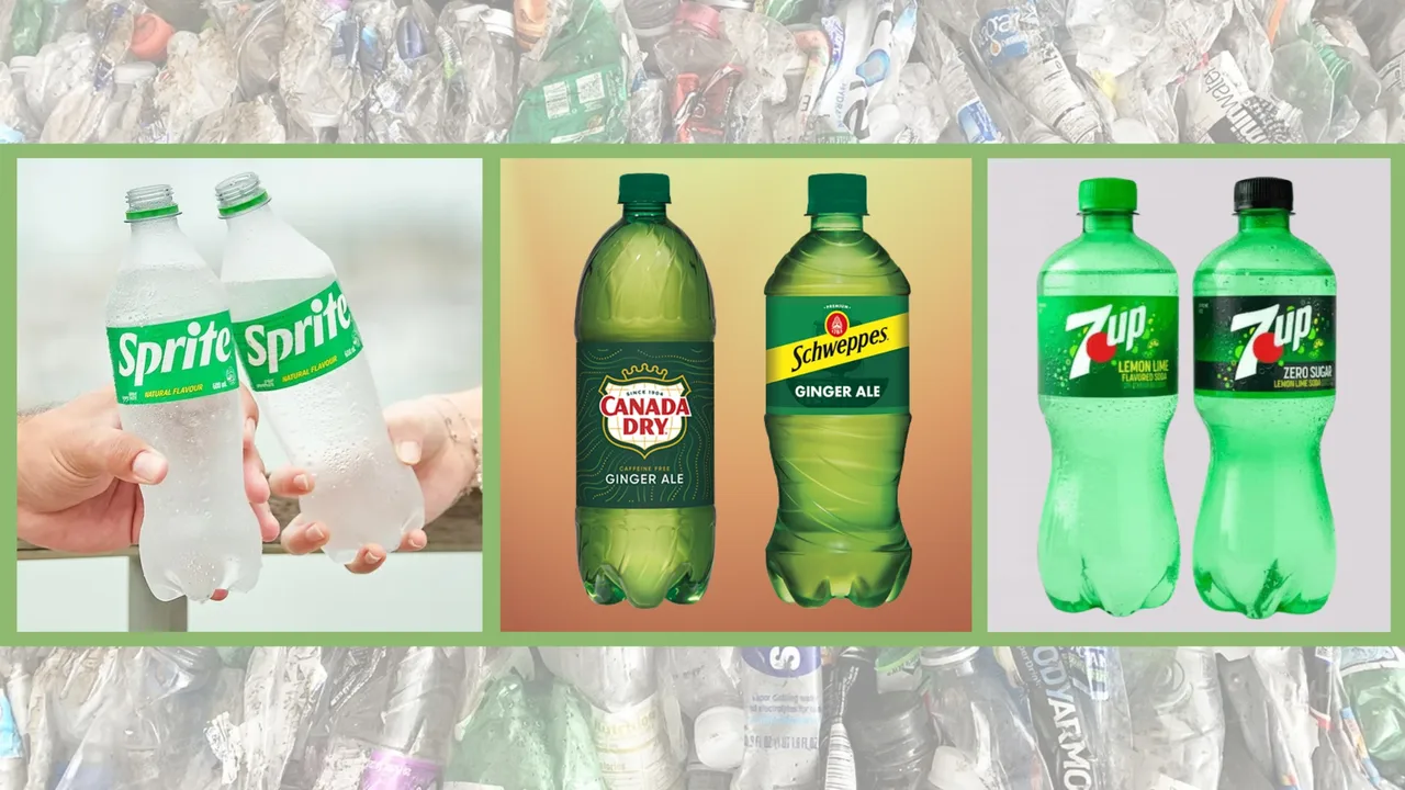 彩色包裝如何在 EPR 時代存活：靠智慧設計