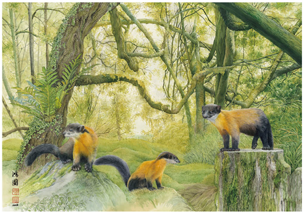 走在設計&繪畫的平行線上