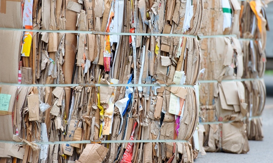 超過一半歐洲消費者因永續包裝改變選擇，品牌正被重新洗牌