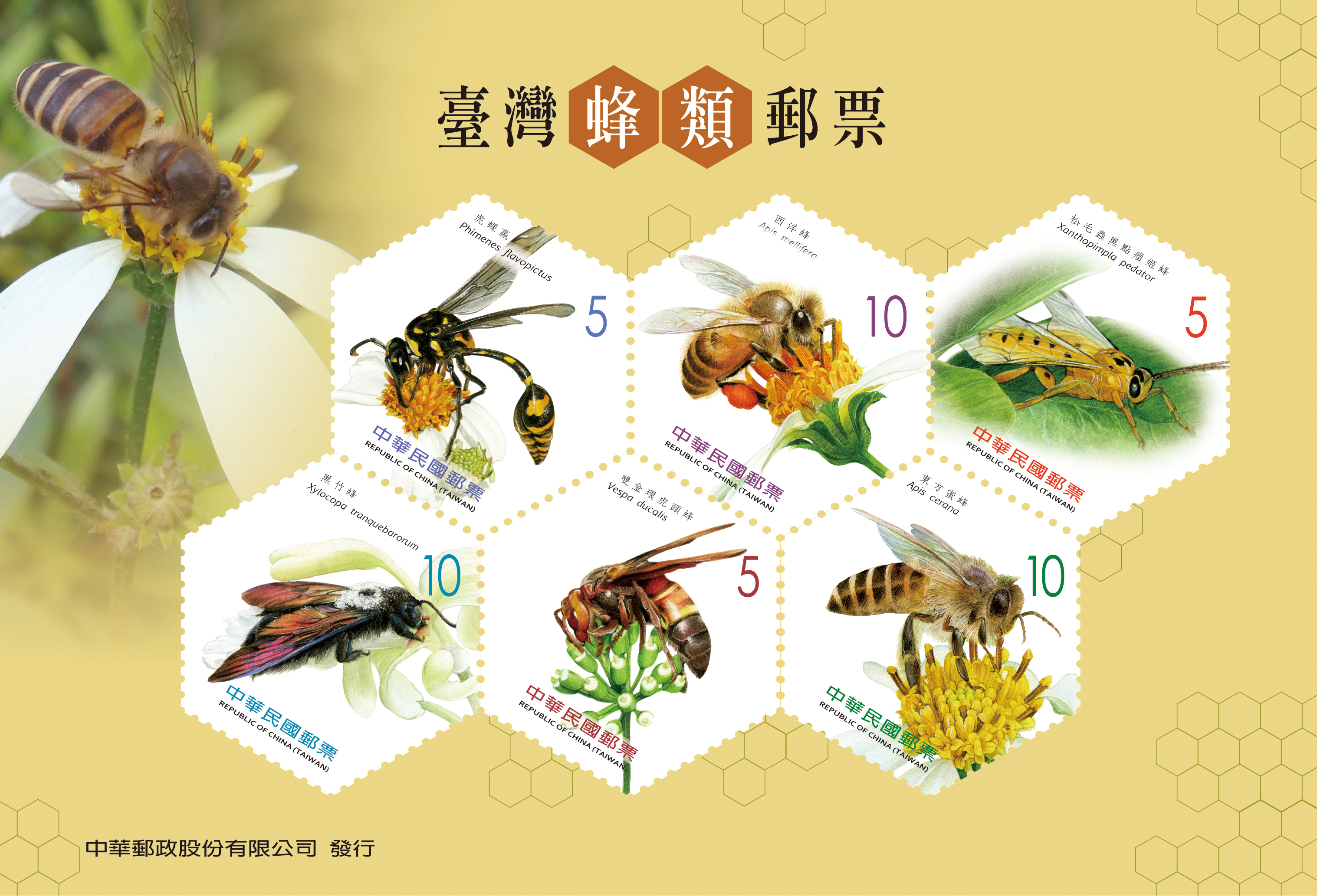 方寸之美系列-5